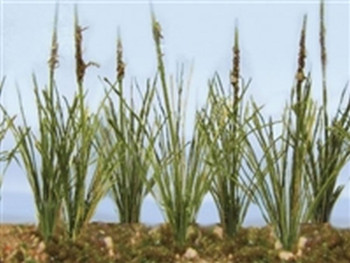 JTT Scenery 95633 HO Scale Cattails Dried 3/4" 24-Pack Model Railroad Scenery