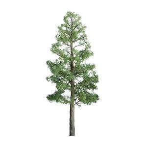 JTT Scenery 96104 G Scale Professional Series Green 16" Pine Tree Diorama
