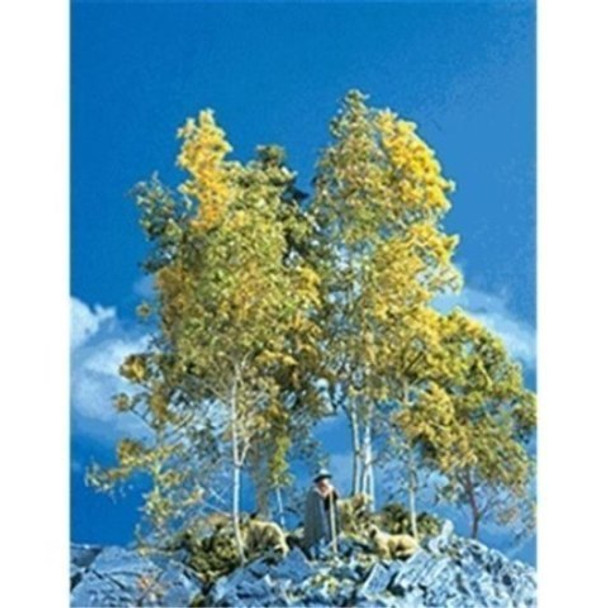 Scenic Express 215 SUPERTREE VALUE CASE