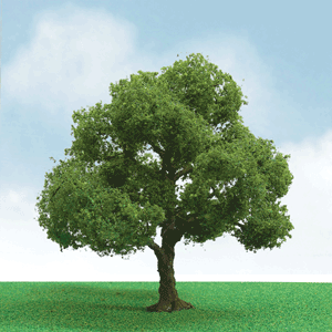 JTT Scenery 92204 N Scale Elder Trees 3-Pack Model Railroad Trees Diorama