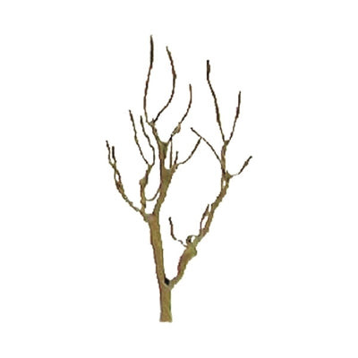 JTT Scenery 94104 Z Scale 1.5" Pro Armature Mountain Gum Tree 6-Pack Diorama