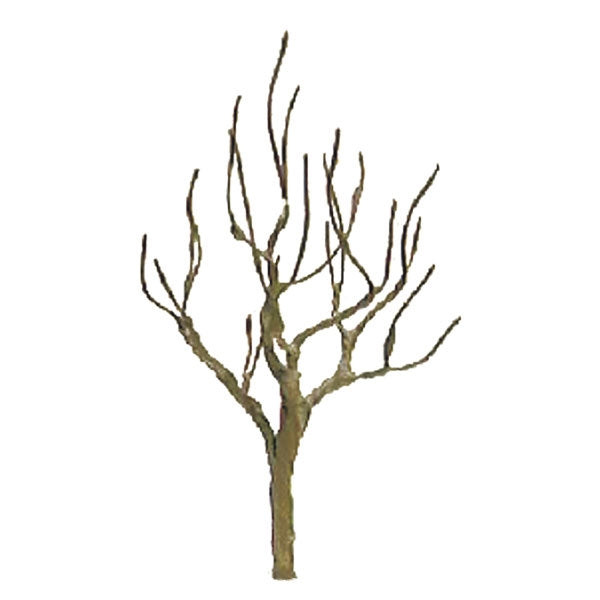 JTT Scenery 94110 Z Scale Professional Armature Deciduous Tree, 1.5" (6-Pack)