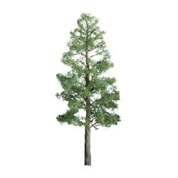 JTT Scenery 94289 Z Scale Professional Series Pine Trees 1" 6-Pack Diorama