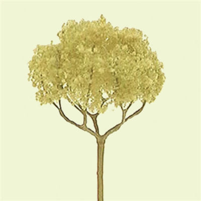JTT Scenery 94321 N Scale 2" Pro Basswood - Round Head Tree 4-Pack Diorama