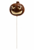 Pumpkin Pop