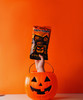Bag of Terror