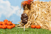 *NEW* Scarecrow Lollipop