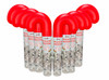 Santa's Smooches - Candy Cane Tube ( 10 Pack)