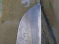 Atagoyama nashiji 