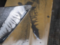 Shoubudani  Kiita Lv 3 (a3685)