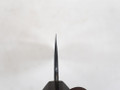 Kokorozashi Wakui Kurouchi Honesuki 170mm V2 nr 5