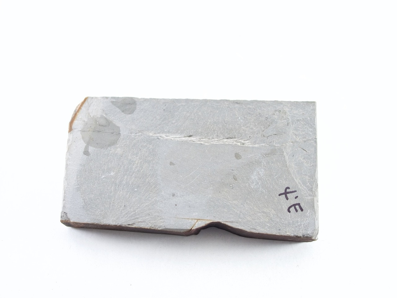 Nakayama Asagi lv 5+ (a1344)