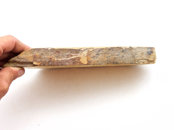 Shinden Suita approx lv 4 (b8)