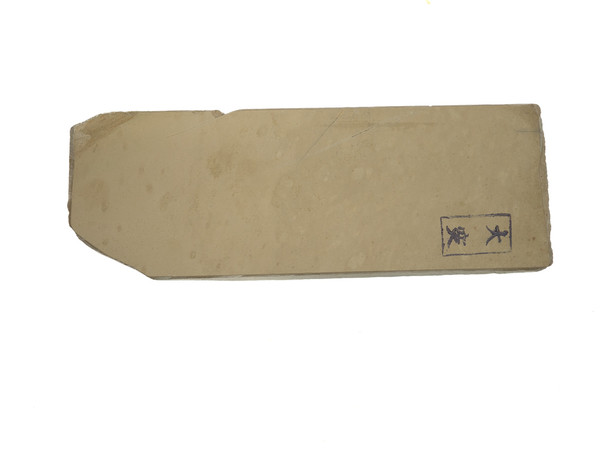 Ozuku lv 5+ (a3286) Ozuku lv 5+ (a3286)