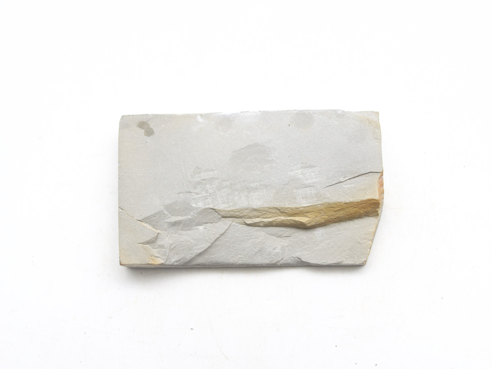 Nakayama Mizu Asagi lv 5 (a2290)