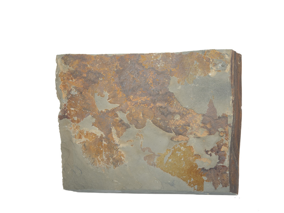 Wakasa Koppa Karasu Lv 4,5 (a3381)