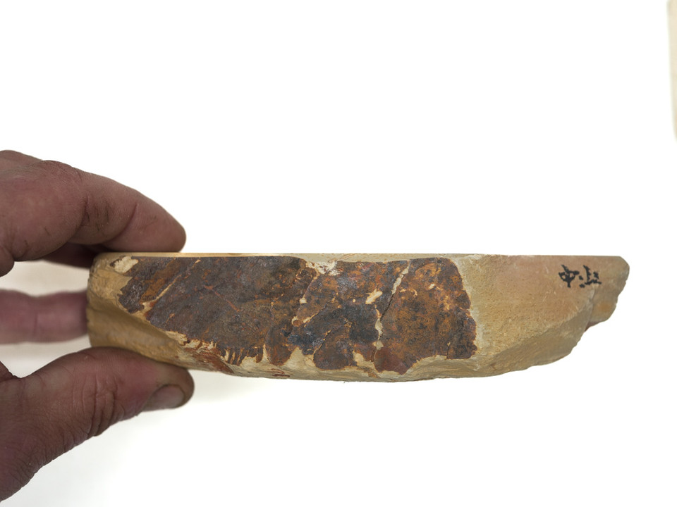 Nakayama Kiita Koppa Lv 3 (a3441)