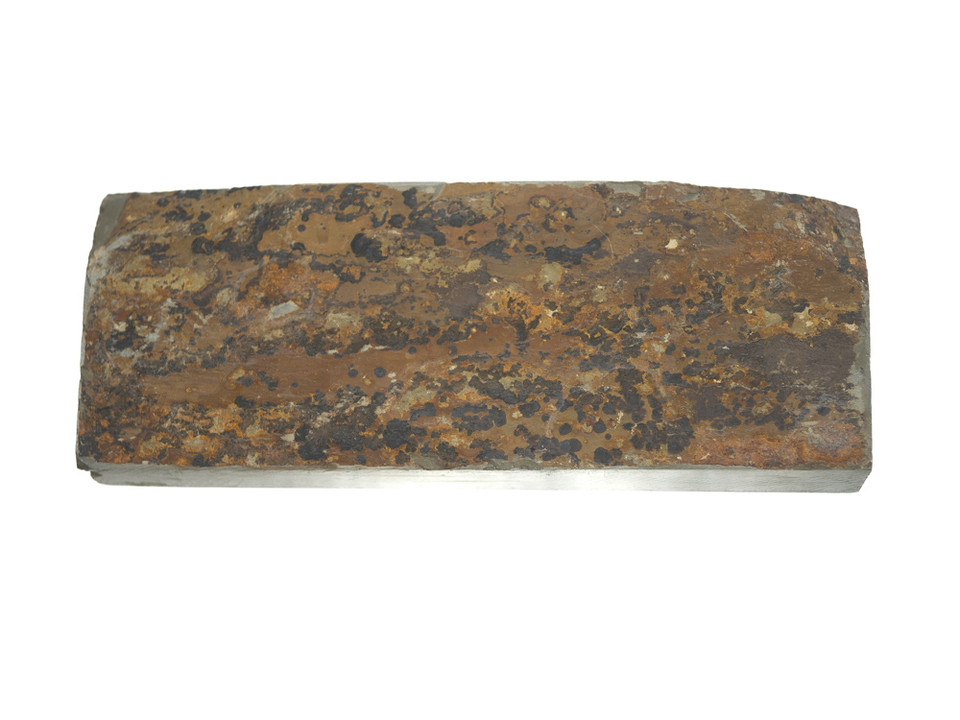 Takitani Asagi lv 3,5 (a3544)