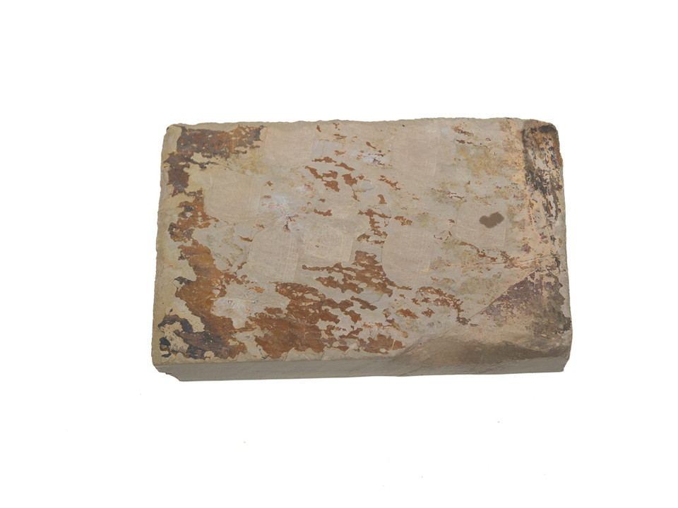 Shoubudani Koppa Lv 2,5 (a3553)