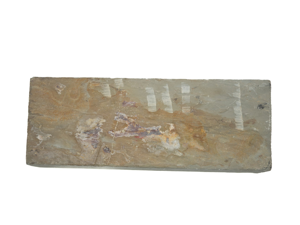 Kizuyama Asagi lv 5+ (a3595)