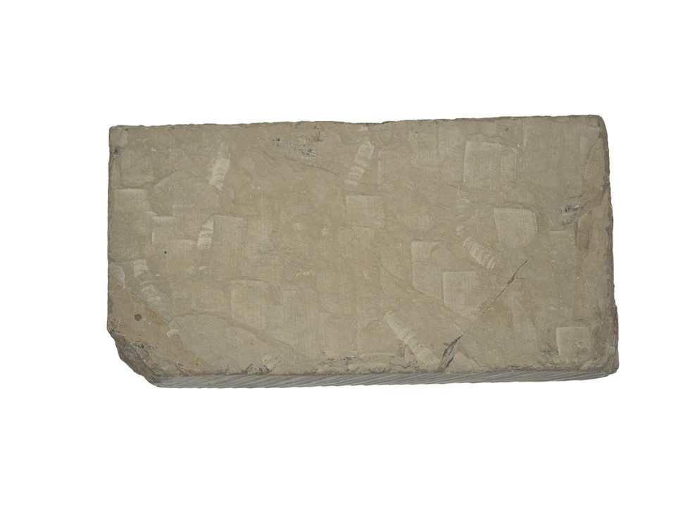 Oohira Ooban Lv 3,5 (a3600)