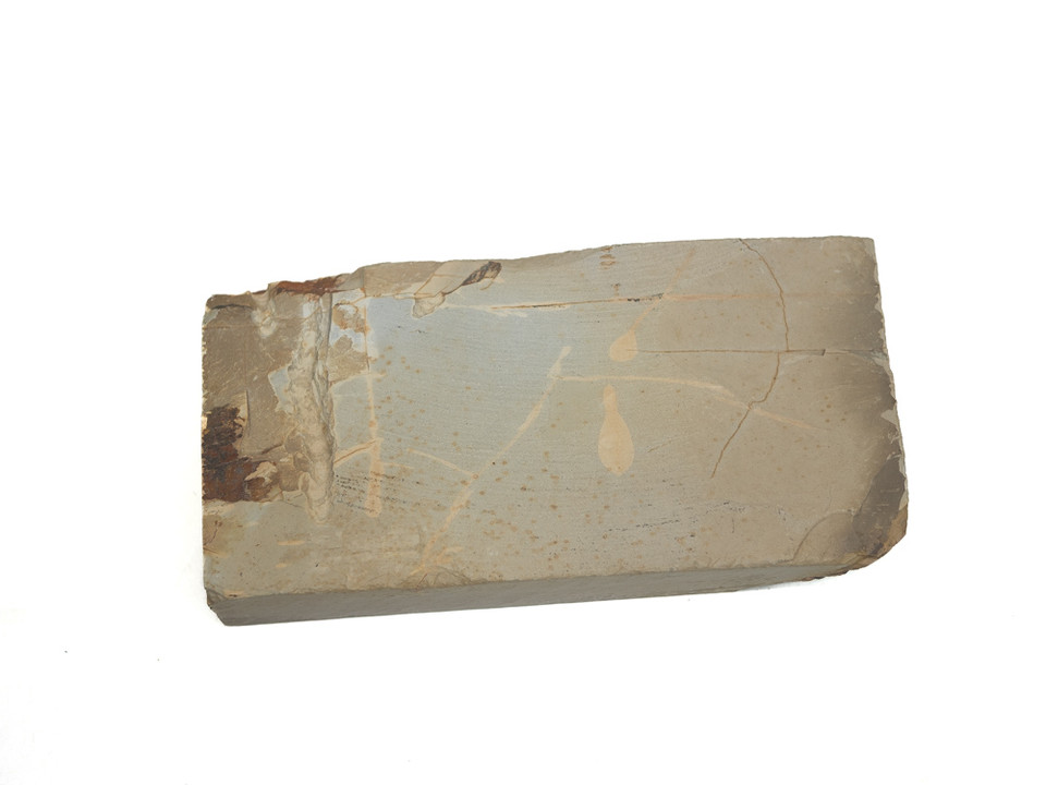 Shoubudani Pink Koppa Lv 2,5 (a3615)