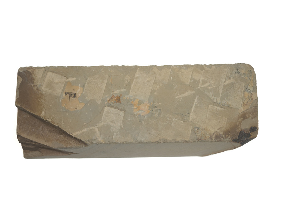 Shoubudani Koppa Lv 2,5 (a3617)