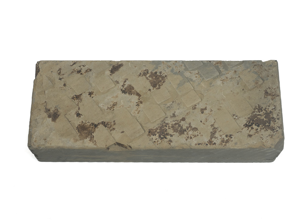 Oohira Namazu Lv 3 (a3622) - Japanese Natural Stones