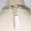 Silver back detail