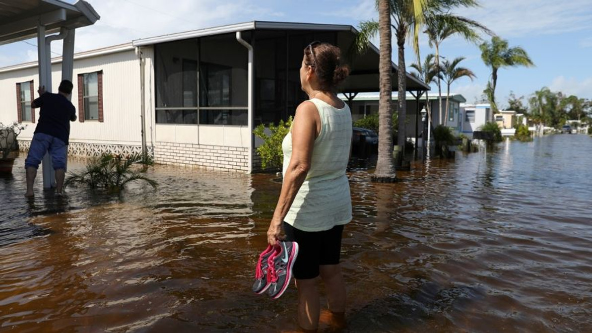 Could rare brain-eating amoeba thrive in Irma's aftermath?