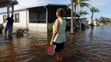 Could rare brain-eating amoeba thrive in Irma's aftermath?