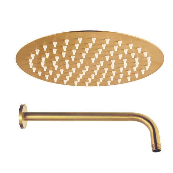Niagara Equate Slimline 200mm Shower Head with Wall Arm in Brushed Brass