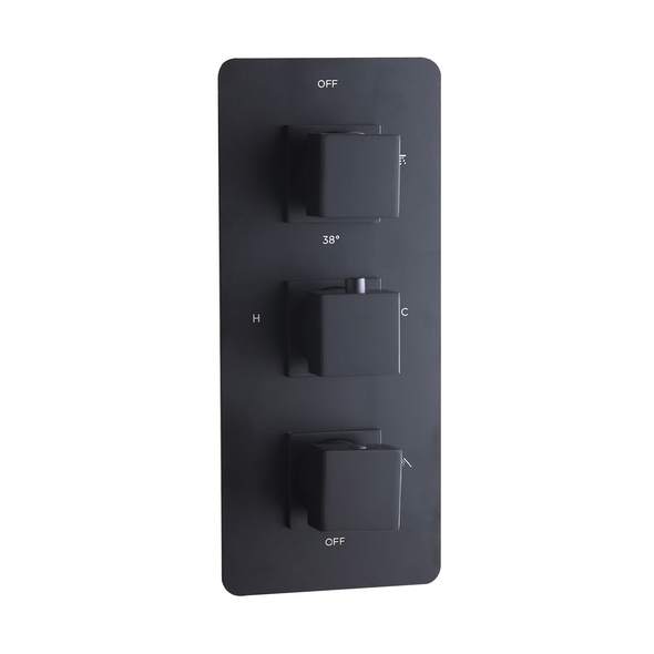 Niagara Observa Concealed Thermostatic Valve for 2 Outlets INSHE1018