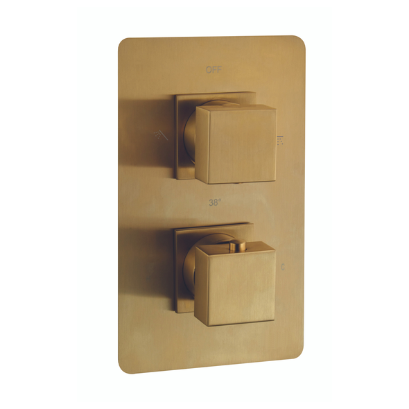 Niagara Observa Concealed Thermostatic Shower Valve for Two Outlets INSHE1017