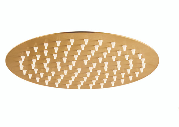 Niagara Equate Slimline 200mm Shower Head  in Brushed Brass