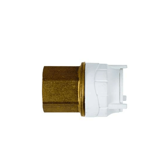 Polyfit Female BSP Adaptor Brass 15mm x 1/2" FIT4415