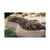 Pavestone Anchor Retaining Wall- Beige