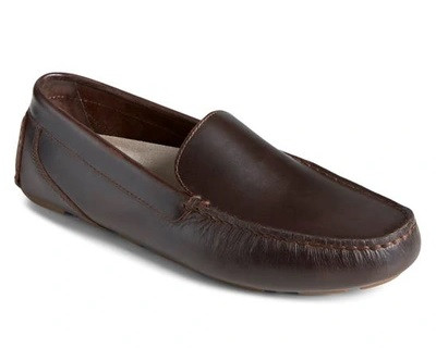 Sperry Men's Davenport Venetian Amaretto Goodman's Shoes