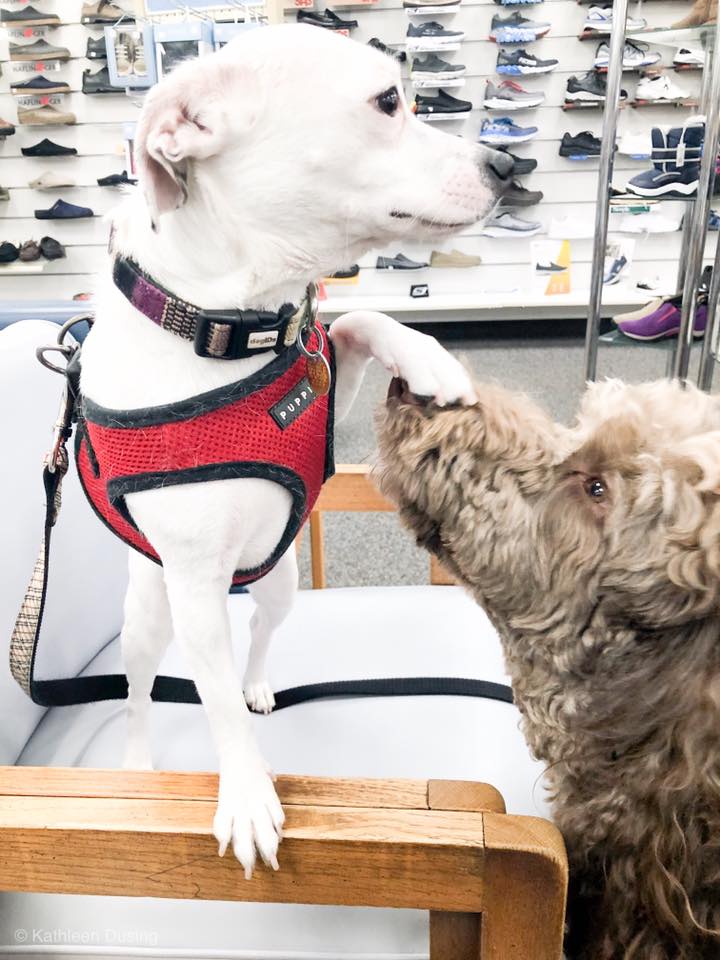 checking out his sister at the store.