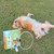 Aro de ducha 360° para perros con dosificador de champú