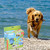 Kit de baño para perros 5 piezas con manguera y manopla