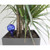 Dispensador de agua para plantas tipo bulbo, 2 unidades