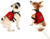Ottawa Senators Dog Cat Mini Backpack Harness w/ Leash  