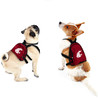 Washington State Cougars Dog Cat Mini Backpack Harness w/ Leash  