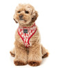 Meat Heads Dog Cat Harness Premium Pepperoni Bacon Steak Vest