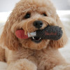 Lipstick Dog Toy Glamour Hounds Nipstick Premium Plush Small  