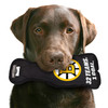 Boston Bruins Stanley Cup Dog Toy Plush w/ Logo On Back & Squeaker