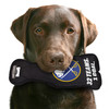 Buffalo Sabres Stanley Cup Dog Toy Plush w/ Logo On Back & Squeaker