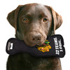 Chicago Blackhawks Stanley Cup Dog Toy Plush w/ Logo On Back & Squeaker