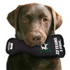 Dallas Stars Stanley Cup Dog Toy Plush w/ Logo On Back & Squeaker